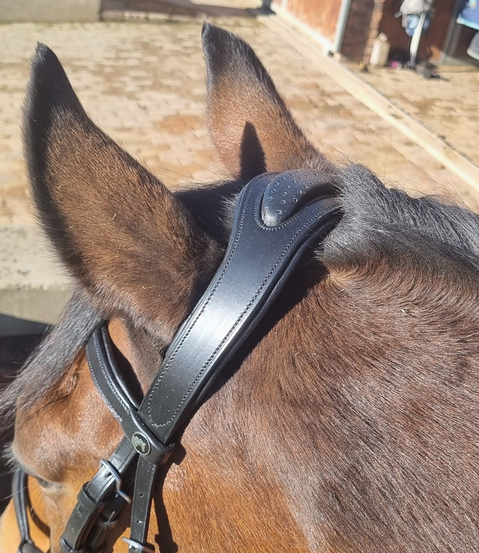 Bridle Anatomic Rolled Solo